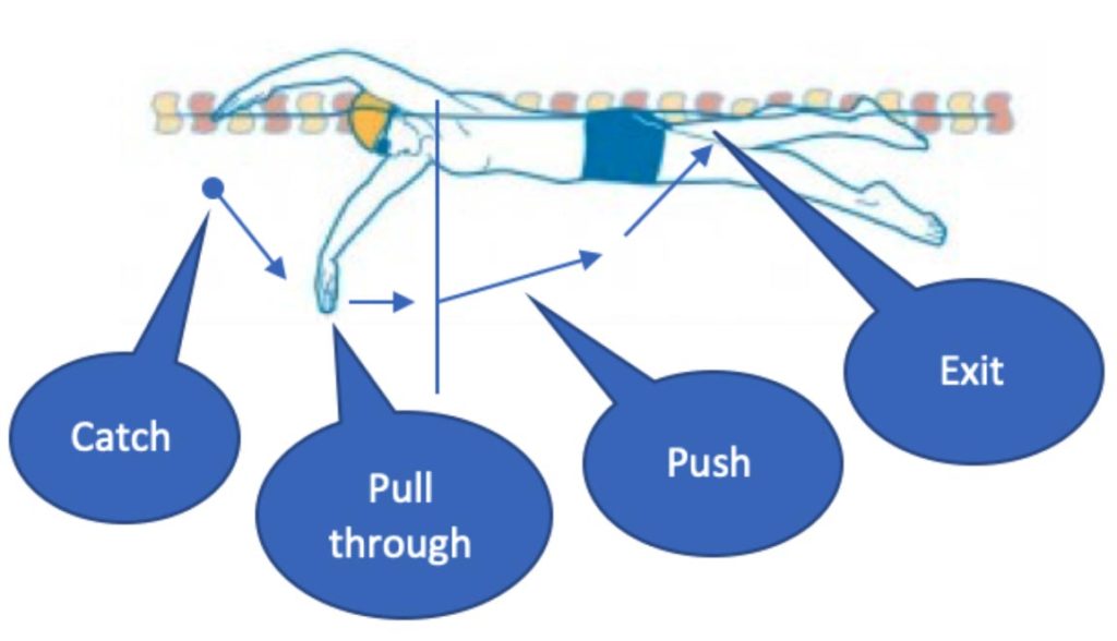 stroke swimming diagram